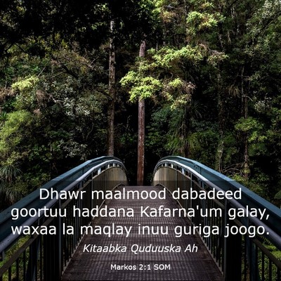 Picture 03 - Markos 2:1 SOM - Dhawr maalmood dabadeed goortuu haddana - Bible Verse Picture