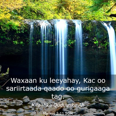 Picture 03 - Markos 2:11 SOM - Waxaan ku leeyahay, Kac oo sariirtaada qaado oo - Bible Verse Picture