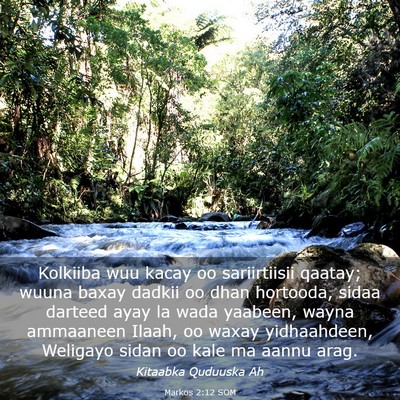 Picture 03 - Markos 2:12 SOM - Kolkiiba wuu kacay oo sariirtiisii qaatay; wuuna - Bible Verse Picture