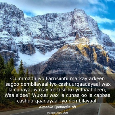 Picture 03 - Markos 2:16 SOM - Culimmadii iyo Farrisiintii markay arkeen isagoo - Bible Verse Picture