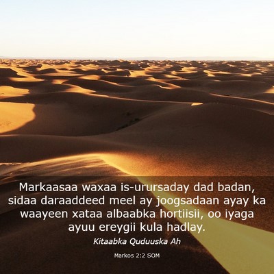 Picture 03 - Markos 2:2 SOM - Markaasaa waxaa is-urursaday dad badan, sidaa - Bible Verse Picture