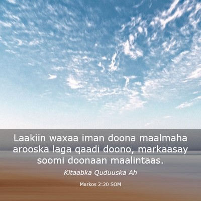 Picture 03 - Markos 2:20 SOM - Laakiin waxaa iman doona maalmaha arooska laga - Bible Verse Picture
