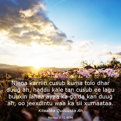 Picture 03 - Markos 2:21 SOM - Ninna karriin cusub kuma tolo dhar duug ah, - Bible Verse Picture