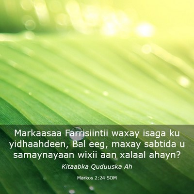 Picture 03 - Markos 2:24 SOM - Markaasaa Farrisiintii waxay isaga ku - Bible Verse Picture