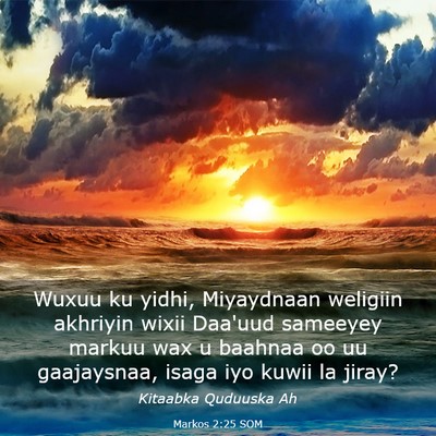 Picture 03 - Markos 2:25 SOM - Wuxuu ku yidhi, Miyaydnaan weligiin akhriyin - Bible Verse Picture