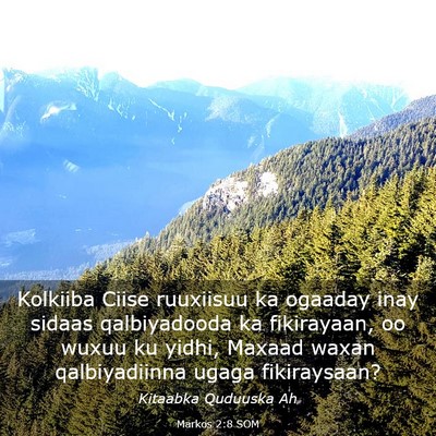 Picture 03 - Markos 2:8 SOM - Kolkiiba Ciise ruuxiisuu ka ogaaday inay sidaas - Bible Verse Picture