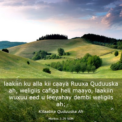 Picture 03 - Markos 3:29 SOM - laakiin ku alla kii caaya Ruuxa Quduuska ah, - Bible Verse Picture