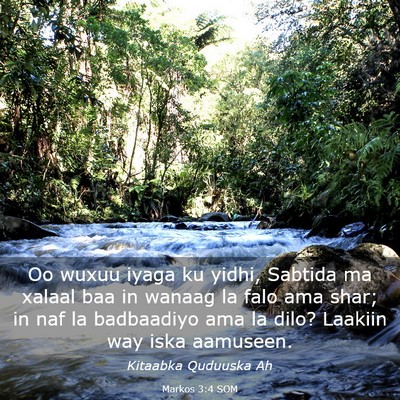 Picture 03 - Markos 3:4 SOM - Oo wuxuu iyaga ku yidhi, Sabtida ma xalaal baa in - Bible Verse Picture