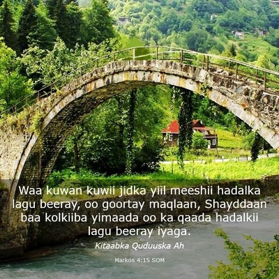 Picture 03 - Markos 4:15 SOM - Waa kuwan kuwii jidka yiil meeshii hadalka lagu - Bible Verse Picture