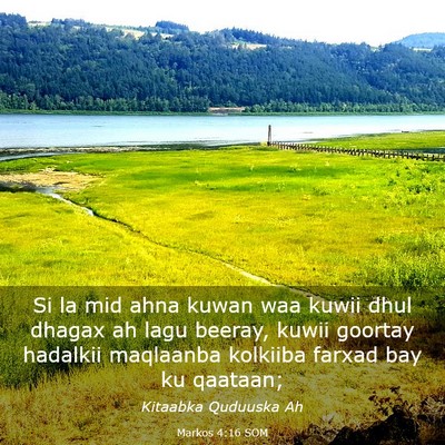Picture 03 - Markos 4:16 SOM - Si la mid ahna kuwan waa kuwii dhul dhagax ah - Bible Verse Picture