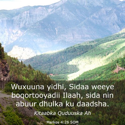 Picture 03 - Markos 4:26 SOM - Wuxuuna yidhi, Sidaa weeye boqortooyadii Ilaah, - Bible Verse Picture