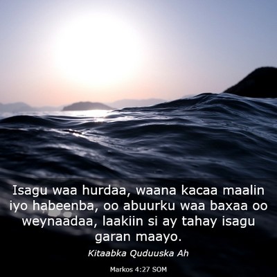 Picture 03 - Markos 4:27 SOM - Isagu waa hurdaa, waana kacaa maalin iyo - Bible Verse Picture