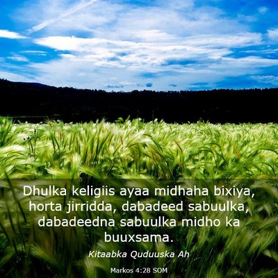 Picture 03 - Markos 4:28 SOM - Dhulka keligiis ayaa midhaha bixiya, horta - Bible Verse Picture