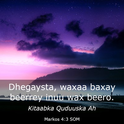 Picture 03 - Markos 4:3 SOM - Dhegaysta, waxaa baxay beerrey inuu wax - Bible Verse Picture