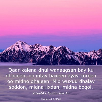 Picture 03 - Markos 4:8 SOM - Qaar kalena dhul wanaagsan bay ku dhaceen, oo - Bible Verse Picture