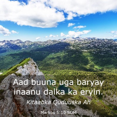 Picture 03 - Markos 5:10 SOM - Aad buuna uga baryay inaanu dalka ka - Bible Verse Picture