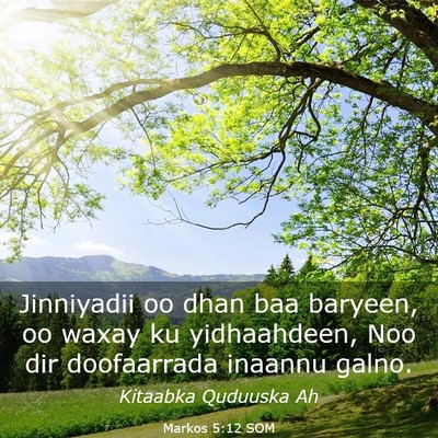 Picture 03 - Markos 5:12 SOM - Jinniyadii oo dhan baa baryeen, oo waxay ku - Bible Verse Picture
