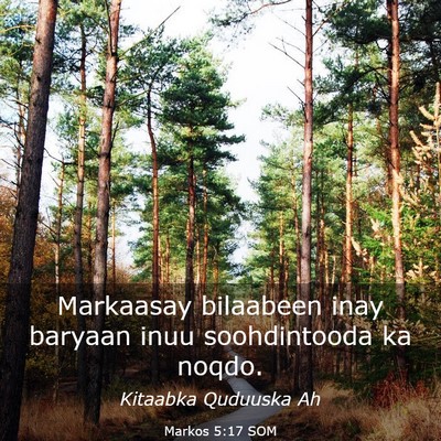 Picture 03 - Markos 5:17 SOM - Markaasay bilaabeen inay baryaan inuu - Bible Verse Picture