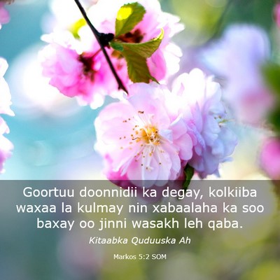 Picture 03 - Markos 5:2 SOM - Goortuu doonnidii ka degay, kolkiiba waxaa la - Bible Verse Picture