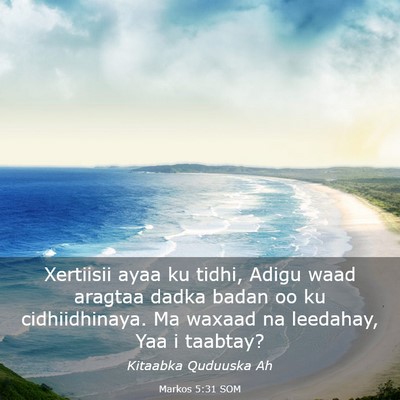 Picture 03 - Markos 5:31 SOM - Xertiisii ayaa ku tidhi, Adigu waad aragtaa dadka - Bible Verse Picture