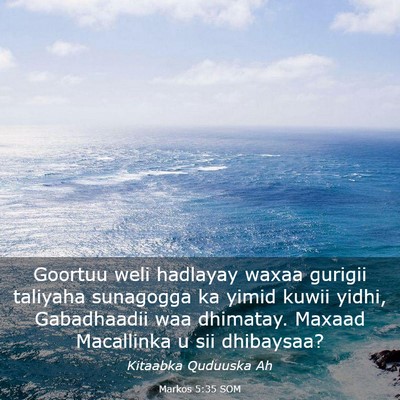 Picture 03 - Markos 5:35 SOM - Goortuu weli hadlayay waxaa gurigii taliyaha - Bible Verse Picture