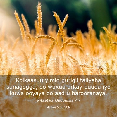 Picture 03 - Markos 5:38 SOM - Kolkaasuu yimid gurigii taliyaha sunagogga, oo - Bible Verse Picture