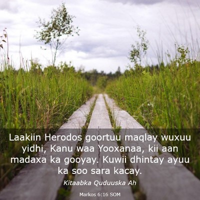 Picture 03 - Markos 6:16 SOM - Laakiin Herodos goortuu maqlay wuxuu yidhi, Kanu - Bible Verse Picture