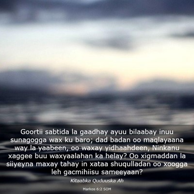 Picture 03 - Markos 6:2 SOM - Goortii sabtida la gaadhay ayuu bilaabay inuu - Bible Verse Picture
