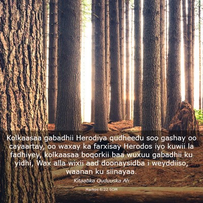 Picture 03 - Markos 6:22 SOM - Kolkaasaa gabadhii Herodiya qudheedu soo gashay - Bible Verse Picture