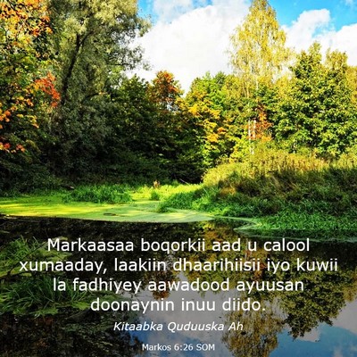 Picture 03 - Markos 6:26 SOM - Markaasaa boqorkii aad u calool xumaaday, laakiin - Bible Verse Picture