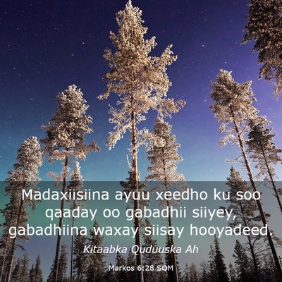 Picture 03 - Markos 6:28 SOM - Madaxiisiina ayuu xeedho ku soo qaaday oo - Bible Verse Picture