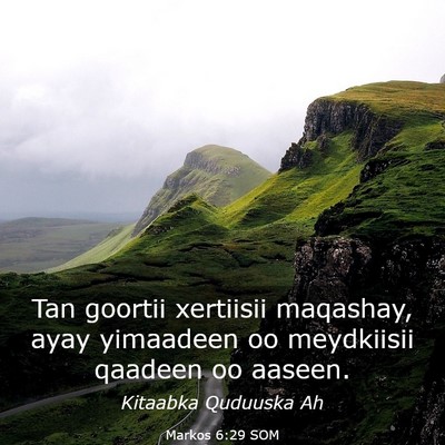 Picture 03 - Markos 6:29 SOM - Tan goortii xertiisii maqashay, ayay yimaadeen oo - Bible Verse Picture