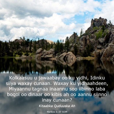 Picture 03 - Markos 6:37 SOM - Kolkaasuu u jawaabay oo ku yidhi, Idinku siiya - Bible Verse Picture