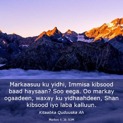 Picture 03 - Markos 6:38 SOM - Markaasuu ku yidhi, Immisa kibsood baad haysaan? - Bible Verse Picture