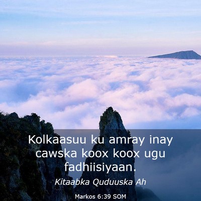 Picture 03 - Markos 6:39 SOM - Kolkaasuu ku amray inay cawska koox koox ugu - Bible Verse Picture