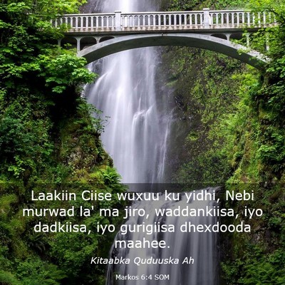 Picture 03 - Markos 6:4 SOM - Laakiin Ciise wuxuu ku yidhi, Nebi murwad la' ma - Bible Verse Picture