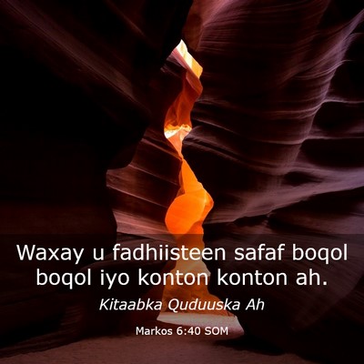Picture 03 - Markos 6:40 SOM - Waxay u fadhiisteen safaf boqol boqol iyo konton - Bible Verse Picture