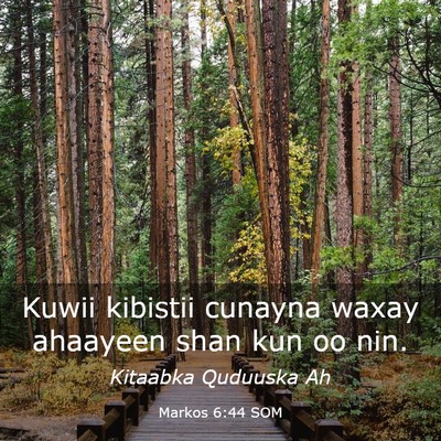 Picture 03 - Markos 6:44 SOM - Kuwii kibistii cunayna waxay ahaayeen shan kun oo - Bible Verse Picture