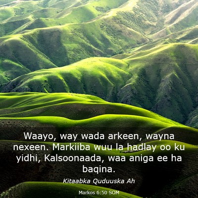 Picture 03 - Markos 6:50 SOM - Waayo, way wada arkeen, wayna nexeen. Markiiba - Bible Verse Picture