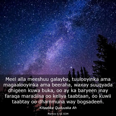 Picture 03 - Markos 6:56 SOM - Meel alla meeshuu galayba, tuulooyinka ama - Bible Verse Picture