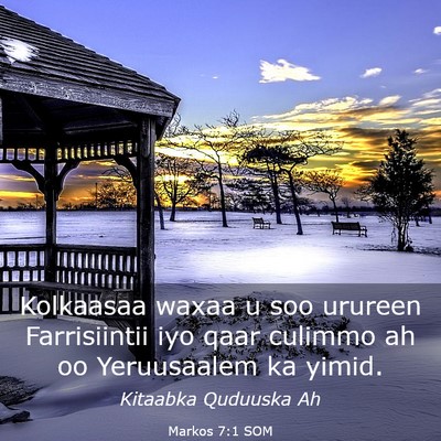 Picture 03 - Markos 7:1 SOM - Kolkaasaa waxaa u soo urureen Farrisiintii iyo - Bible Verse Picture