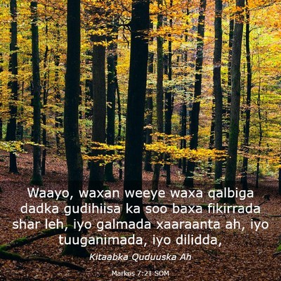 Picture 03 - Markos 7:21 SOM - Waayo, waxan weeye waxa qalbiga dadka gudihiisa - Bible Verse Picture