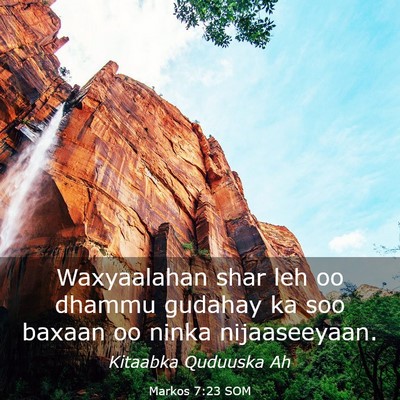 Picture 03 - Markos 7:23 SOM - Waxyaalahan shar leh oo dhammu gudahay ka soo - Bible Verse Picture
