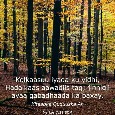Picture 03 - Markos 7:29 SOM - Kolkaasuu iyada ku yidhi, Hadalkaas aawadiis tag; - Bible Verse Picture
