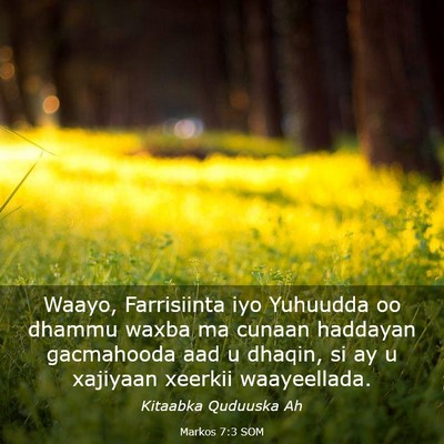 Picture 03 - Markos 7:3 SOM - Waayo, Farrisiinta iyo Yuhuudda oo dhammu waxba - Bible Verse Picture