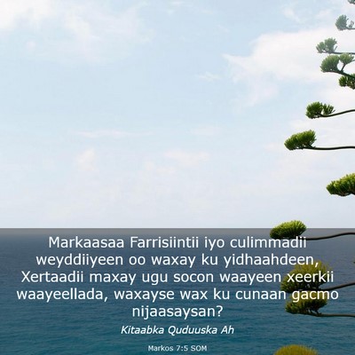 Picture 03 - Markos 7:5 SOM - Markaasaa Farrisiintii iyo culimmadii weyddiiyeen - Bible Verse Picture
