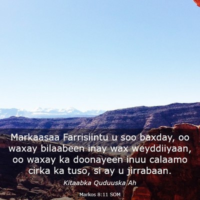 Picture 03 - Markos 8:11 SOM - Markaasaa Farrisiintu u soo baxday, oo waxay - Bible Verse Picture