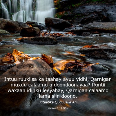 Picture 03 - Markos 8:12 SOM - Intuu ruuxiisa ka taahay ayuu yidhi, Qarnigan - Bible Verse Picture