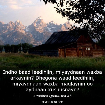 Picture 03 - Markos 8:18 SOM - Indho baad leedihiin, miyaydnaan waxba arkaynin? - Bible Verse Picture