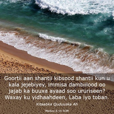 Picture 03 - Markos 8:19 SOM - Goortii aan shantii kibsood shantii kun u kala - Bible Verse Picture